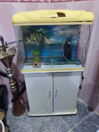 حوض اسماك • ماطور وفلاتر • ميز طعام