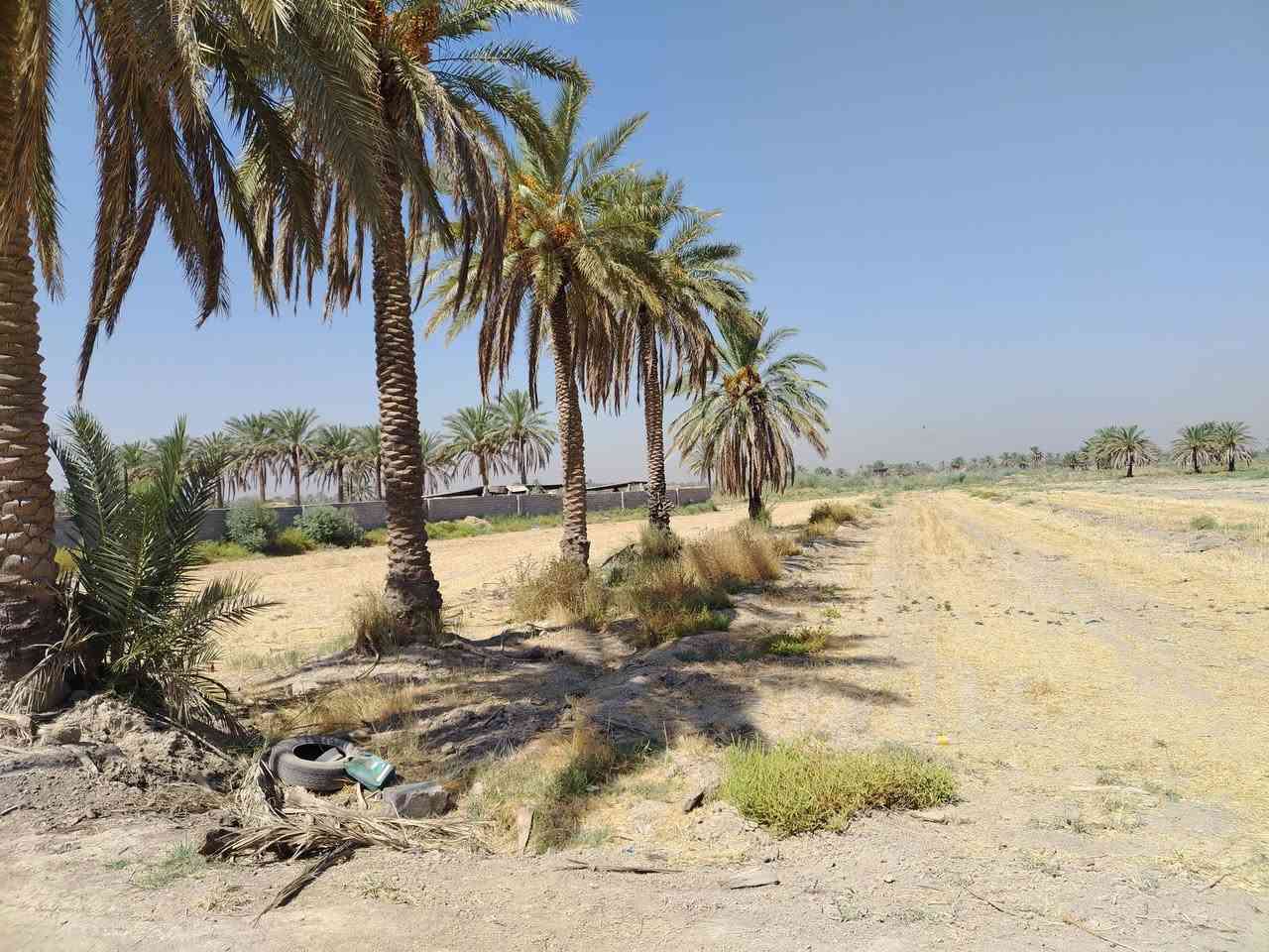 قطعة أرض (    ٣ ونص) على طريق هوى الشام مباشر كافة الخدمات في منطقة هوى الشام موبايل ***********
