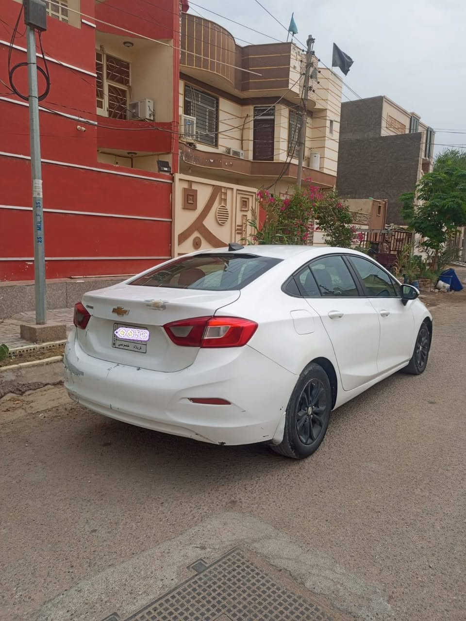 كروز • ٢٠١٩ • رقم كربلاء