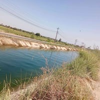 بغداد اليوسفية للبيع خمس دوانم طابو زراعي سند 25  الموقع بغداد اليوسفي...