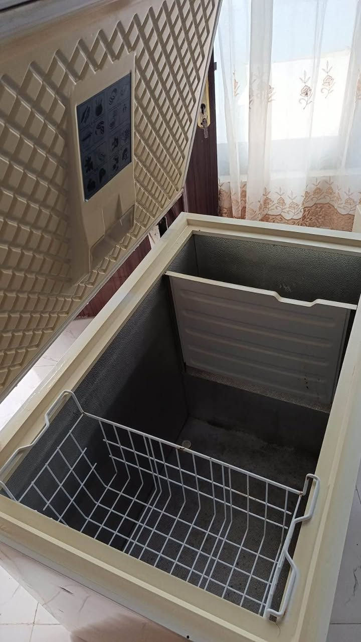 مجمدة • ١٢ قدم • كوكا
