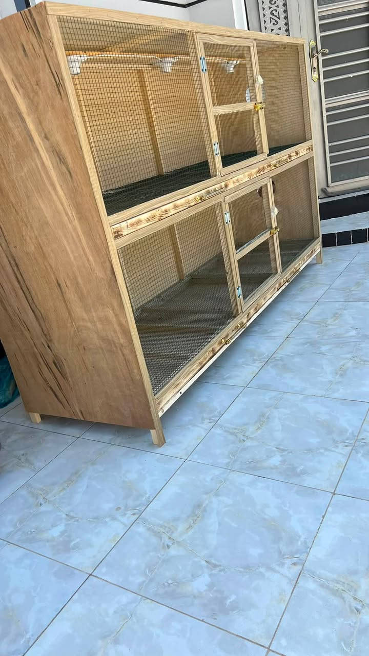 حاضنة افراخ 
القياسات حسب طلب الزبون 
العرض مترتين 
ارتفاع الخانه الوحده 55
العمق للخانه 60 
مكانه ديالى شهربان قرب جسر مهروت مقابيل مسبح اكوا 
للتواصل وتساب 

‭+964 771 410 4943‬
للاتصال ‭+964 771 073 3832
