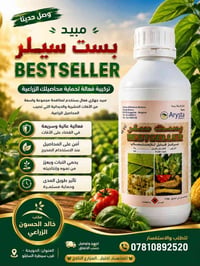 بست سيلر • ذرة صفراء • الحويجة