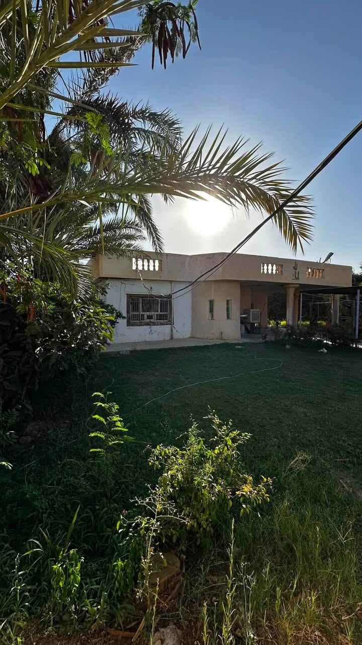 دونم عقد زراعي مع بيت وبستان قرب فلكة الفرسان تبعد عن الشارع العام ٥٠٠ متر
البيت يتكون من 4 غرف نوم 

مطبخ حار بارد 

استقبال وصاله ومجمع 

صحيات داخليه و ٢ خارجيه 

مخزن خارجي + حوض ماء كبير 

المشروع خلف العقار مباشر مسحوب غطاس الى البيت والحوض .

حدايق عدد ٢ 

واصل تبليط الى باب البيت 

السعر 77 م مجال بسيط 

للأتصال *********** 

نقد فقط

