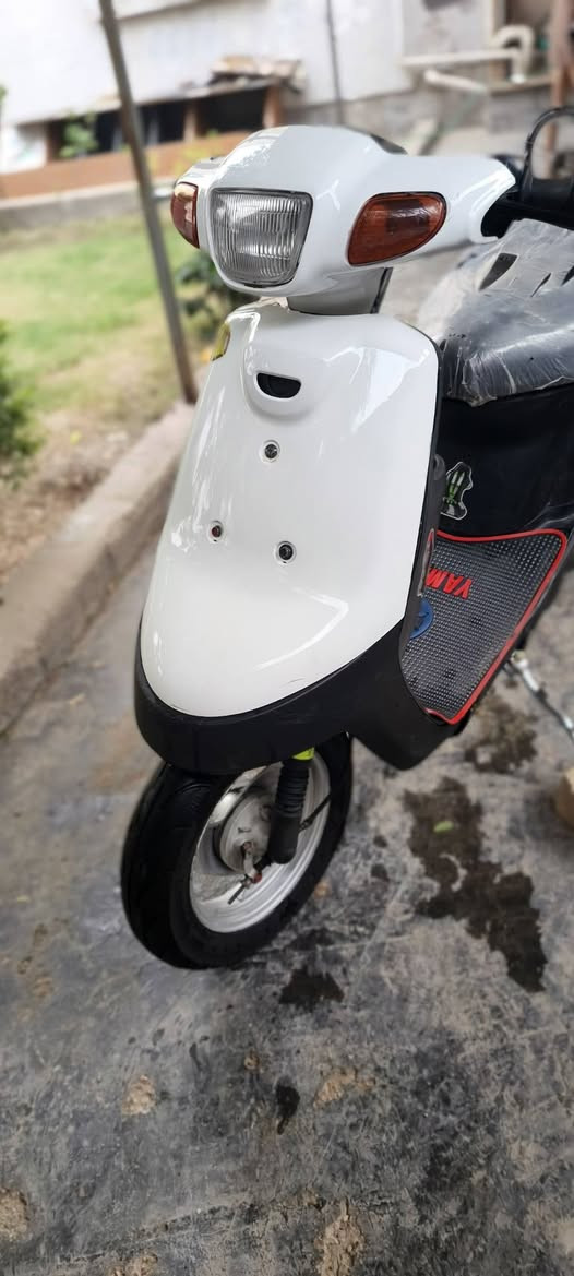 بطة • للبيع