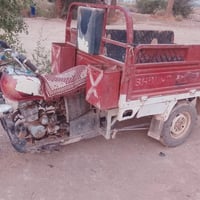 ستوته • موديل ١٤ • مكفوله