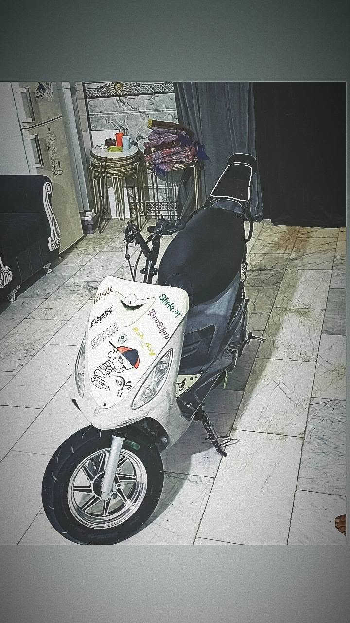 ٥٥ • شلعه • فول نعومه