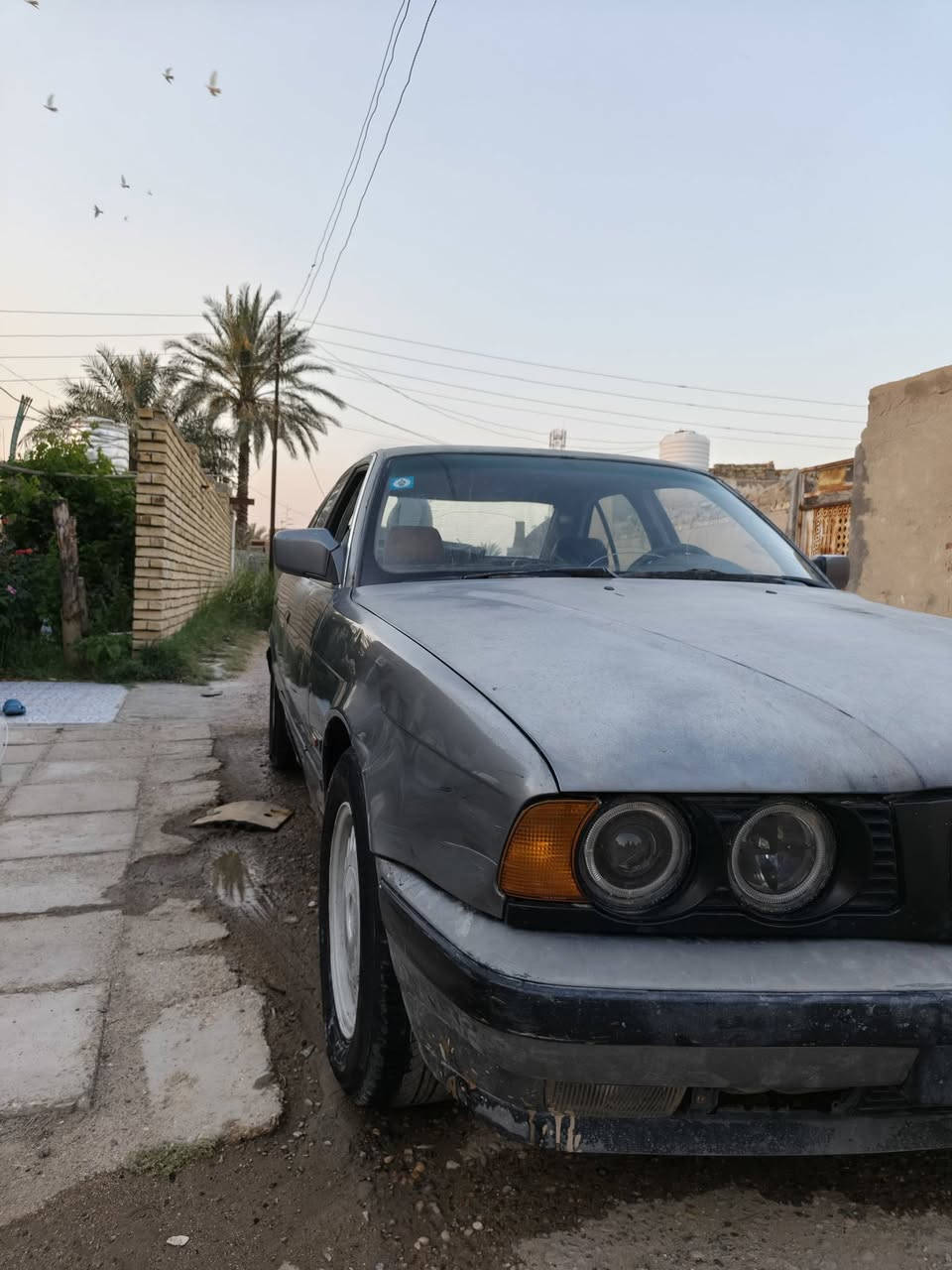525محوره ياباني 2500 موديل 91وارد ياباني بيه طخه بالجاملغ الخلفي  ومحدثه 94امبدل 8قطه نفس الون قبل 5 سنوات فصار بيهن طخ طخات وجراد رقم بغداد انكليزي بسمي السياره من 2014عدنه كير قبل 5 اشهر شاده والمكينه بيه صوت بدايه التشغيل نوزلات بلكات جدد حاويه المكينه لا تنقيص ولا تبخير ولل معلومه البال قماره زنجار مو خياس المكان ذي قار ***********
سعره 28 ورقه
525محوره ياباني 2500 موديل 91وارد ياباني بيه طخه بالجاملغ الخلفي  ومحدثه 94امبدل 8قطه نفس الون قبل 5 سنوات فصار بيهن طخ طخات وجراد رقم بغداد انكليزي بسمي السياره من 2014عدنه كير قبل 5 اشهر شاده والمكينه بيه صوت بدايه التشغيل نوزلات بلكات جدد حاويه المكينه لا تنقيص ولا تبخير ولل معلومه البال قماره زنجار مو خياس المكان ذي قار ***********
