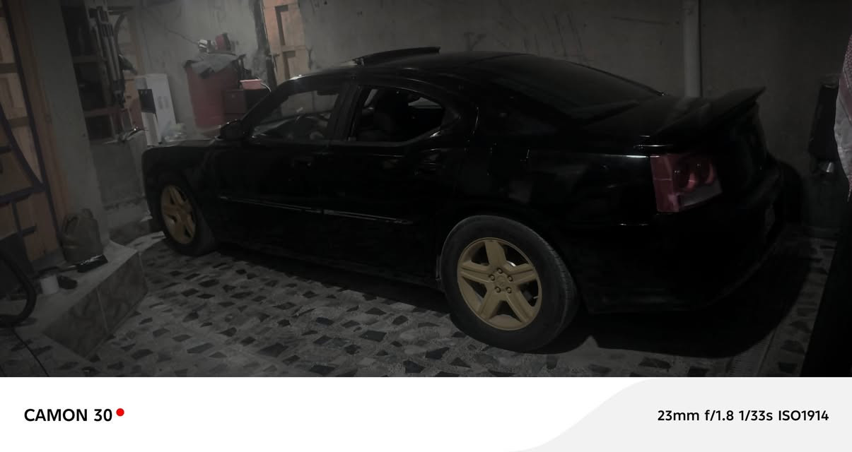 دوج • ٢٠١٠ • رقم اربيل