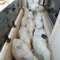 ملكانات صدر العدد 30نضيفات قيم وأخذ ‏‪07710196901‬‏