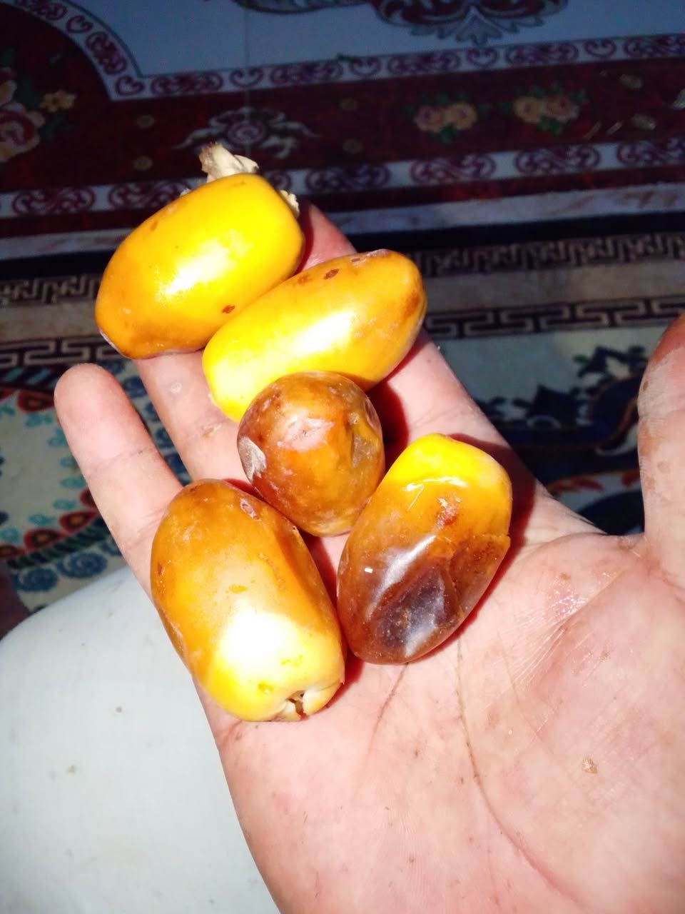 متوفره فسيلة وحده من هاي النوعية نخله راقية حجمها جبير ومطلعه سعرها 75 الف للتواصل ***********
