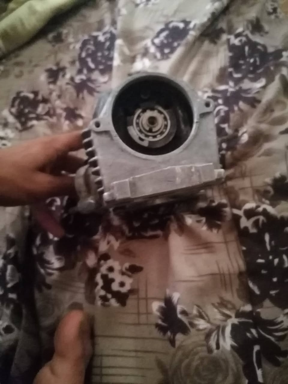 شاصي • سكنس • الكريعات