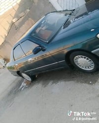 كراون بطه • مكفوله • رقم بصره