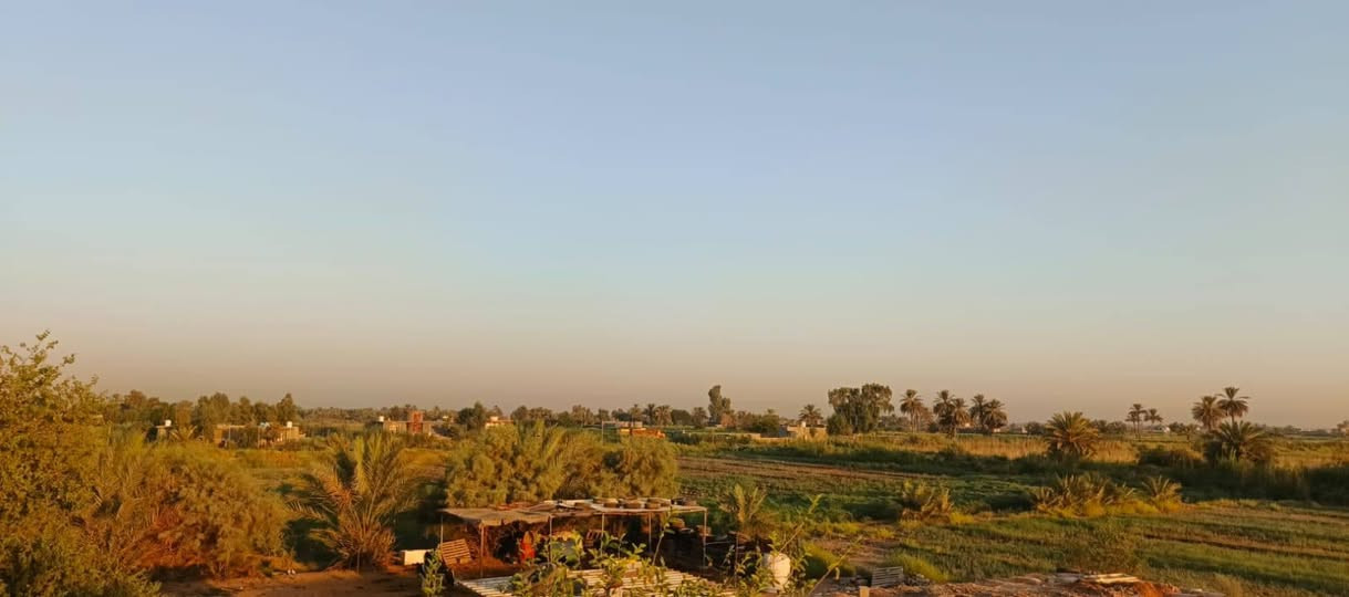 فرصة استثمارية زراعية وحيوانية لا تُفوّت للبيع! 🌾🐄
أرض زراعية متكاملة ومجهزة بالكامل بجميع الخدمات، موقع مميز وجاهزية تامة للمباشرة بالعمل فوراً:

​الموقع: اللطيفية - كيلو 18 (تبعد 800 متر فقط عن طريق بغداد - كربلاء العام).

​المساحة: 10 دونم.

​السنَد والملكية: سند 17 (طابو صرف).

​التجهيزات والمرافق: 

​بيت سكون جاهز.

​حقول مجهزة بالكامل لتربية الأبقار والعجول (مشروع جاهز ومكتمل).

​الخدمات والري: 

​أرض مخدومة بالكامل (كهرباء، طريق مبلط، ماء إسالة).

​نظام سقي متكامل (سقي إروائي على نهر اللطيفية).

​الأرض محاطة بمبازل (مبازل داير ما داير) لضمان أفضل تصريف وتربة زراعية مثالية.

​أرض كاملة ومكملة من كافة النواحي، لا تحتاج أي مصاريف إضافية!

​📞 للتواصل والاستفسار المبا@شر:
***********
@
