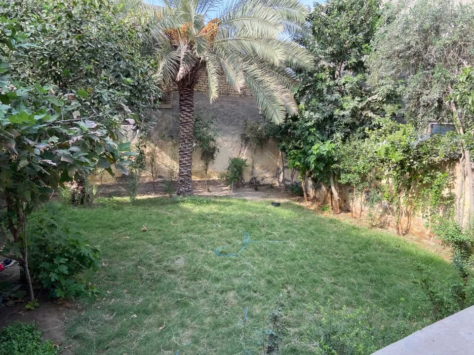 طابو زراعي • ٤٠٠م • حديقه