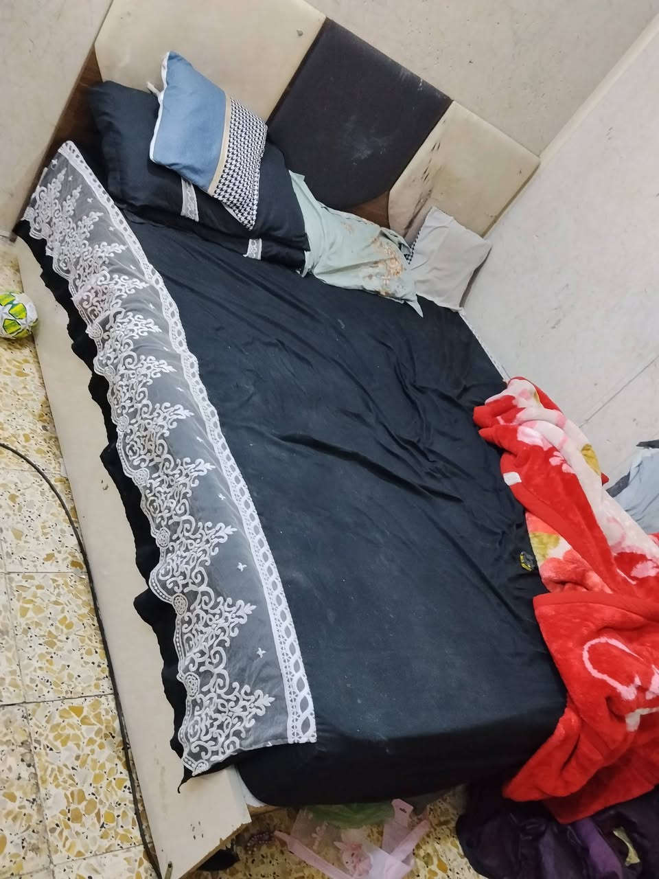 جربايه • كومديات ثنين • كنتور تعبان