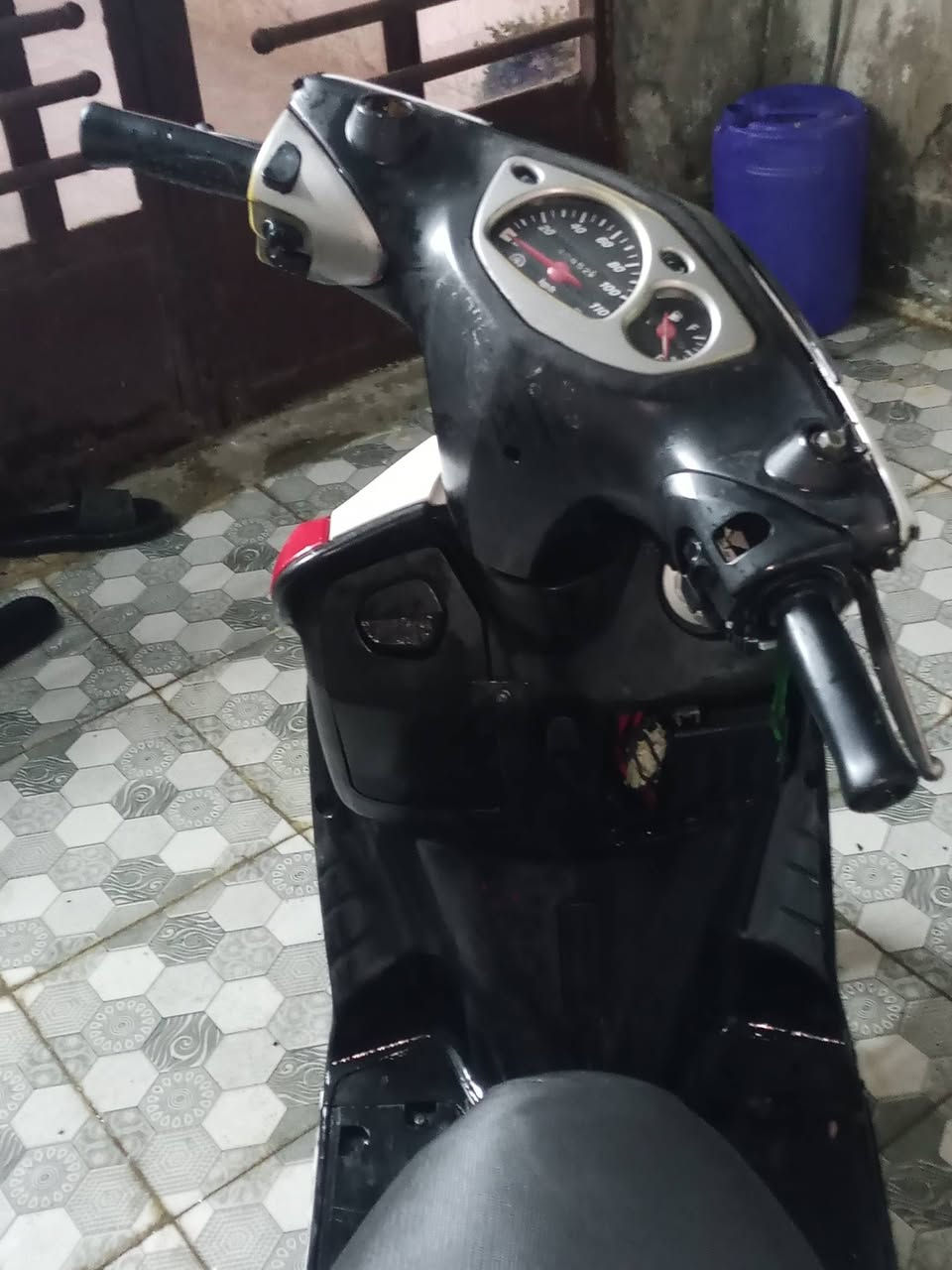 سكنس • نثية • كامله