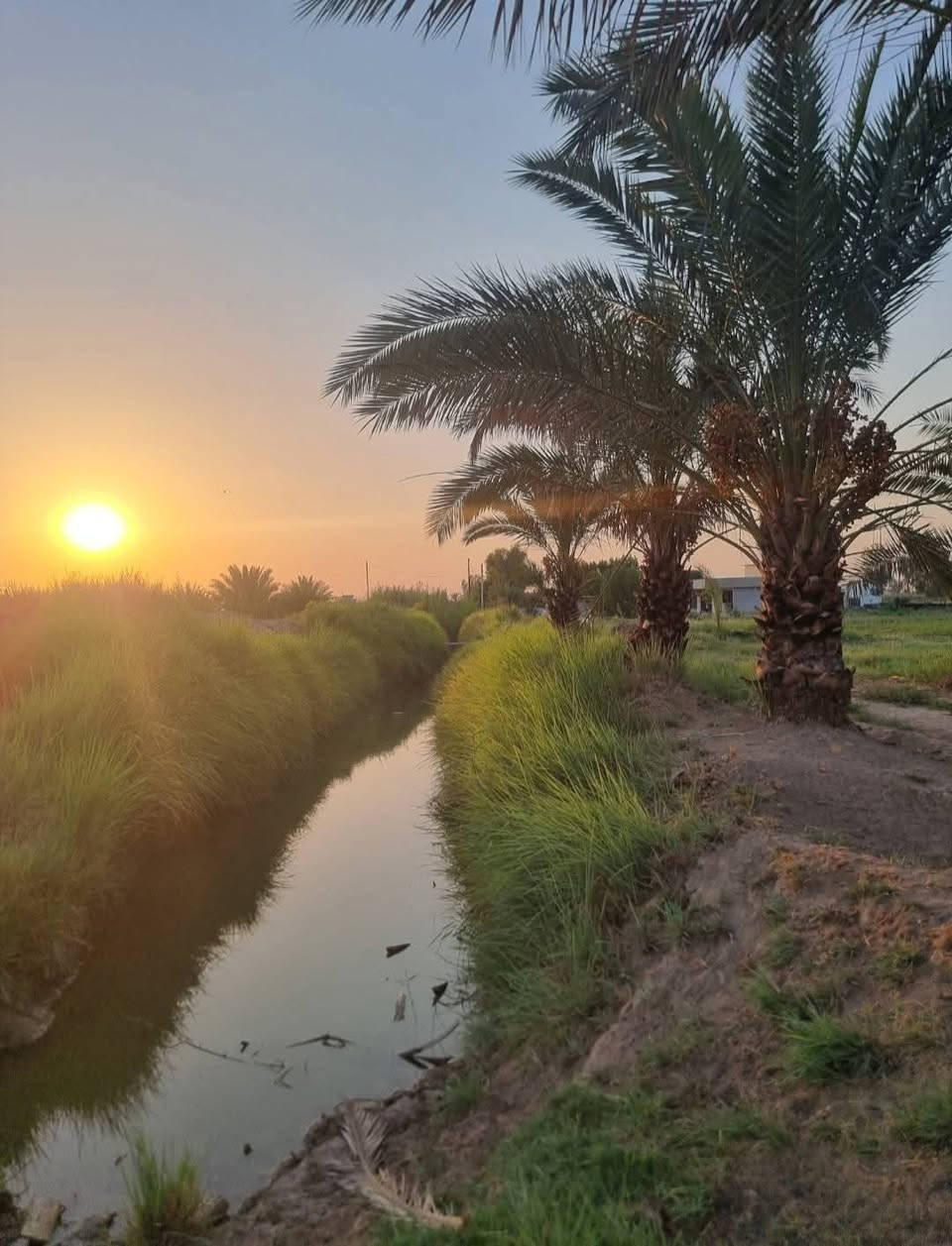 التاجي • ٣٠دوانم • طابو سند٢٥