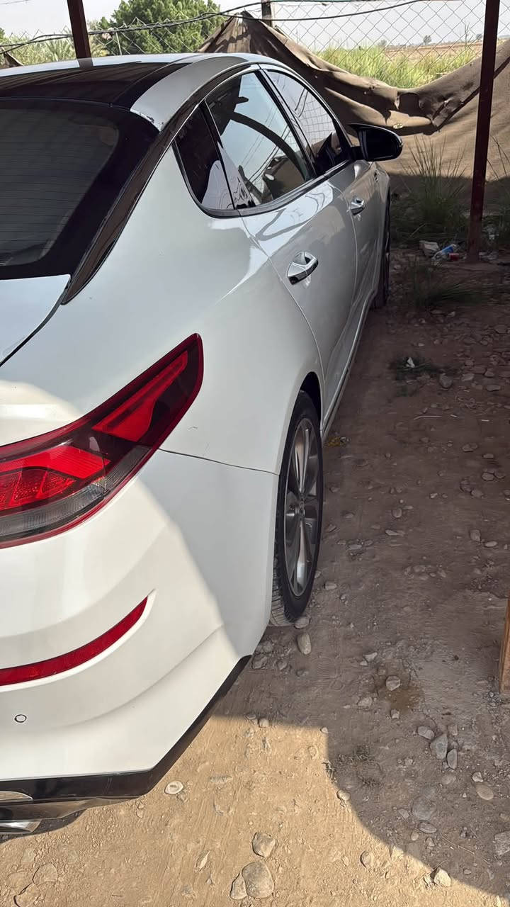 اوبتما امريكي • ٢٠١٩ • واسط نعمانيه