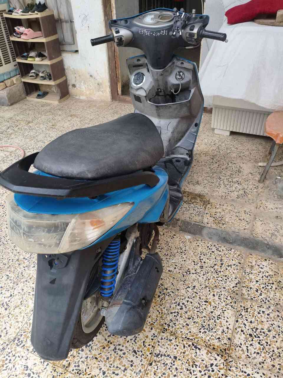 سكنس فحل • مكفوله • معدل