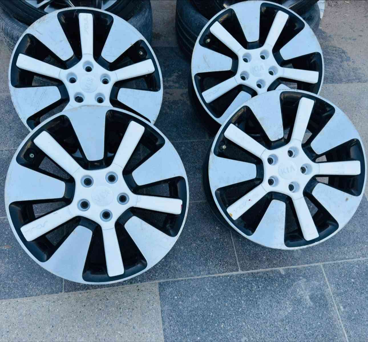 السلام عليكم
تخم ويل كب كيا صول حجم ١٨ اصلي نظيف بدون عواج وبدون فطر 
السعر ٢٥٠ الف
***********
