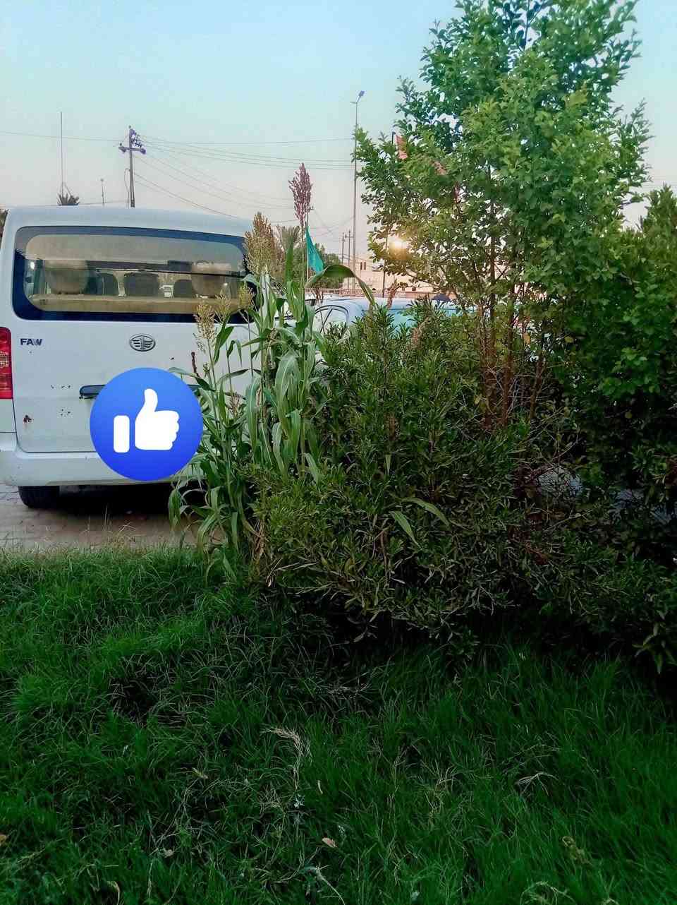 *********** فاو ١٠ راكب سعر ٤٥  وبيه مجال تفاصيل خاص مكان نجف
