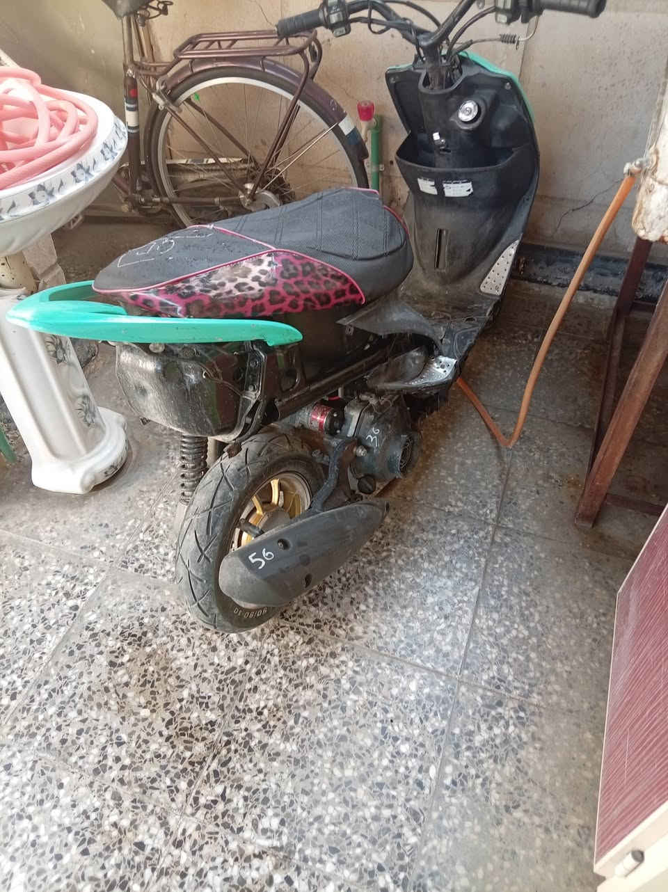 ماكس عدلة • واتساب