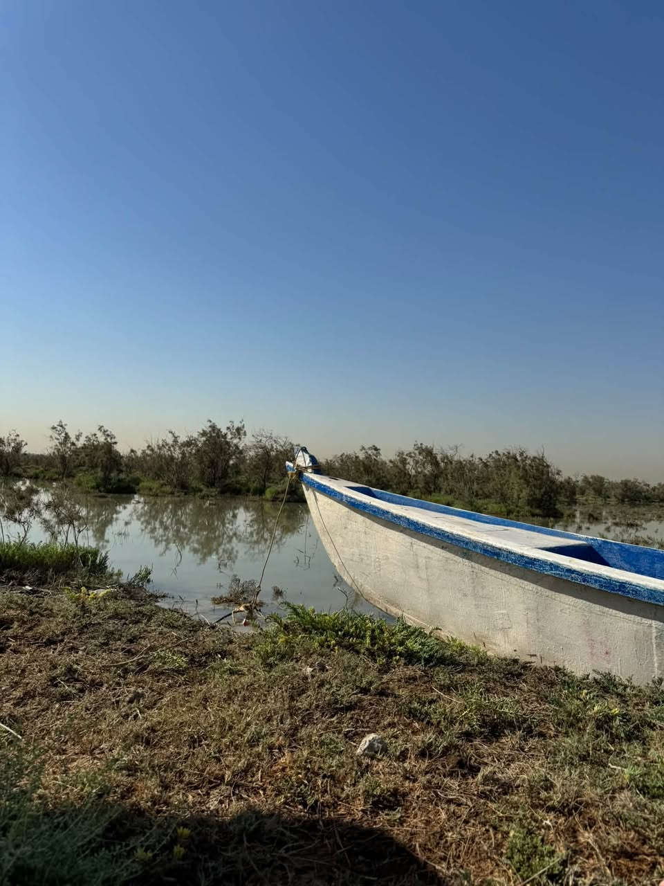 جديده • ١٧ ذراع • عرض ١٣٥