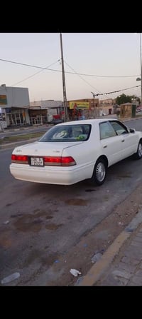شباب راس الثور افلات بيع ومراوس بملكه صفره سياره رقم رقم نجف انكليزي ث...