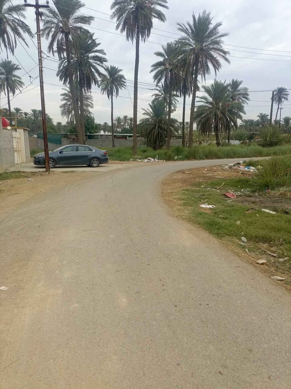 بساتين بهرز • ١٠٠م • شارع رئيسي