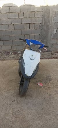ماكس اف ام • بوشة٥٥ • مجال