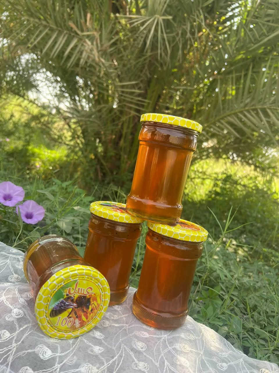 � رحيق دجله 🍯
عسل طبيعي 100% بدون أي إضافات 🌿

ثقة ومصداقية… والتجربة خير برهان 🤍

🐝 عسل الكالبتوز

🌿 عسل البرسيم

📞 للطلب والاستفسار: ***********

💬 واتساب متوفر
تيك توك /.   رحيق دجلة

جرّب واحكم بنفسك 🍯
