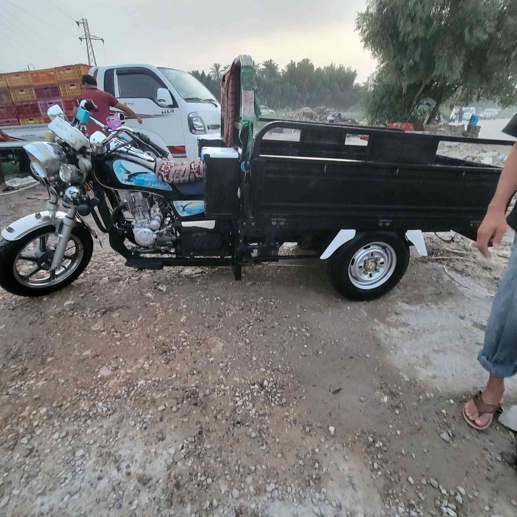 ستوته • ٢٣ • مكفوله