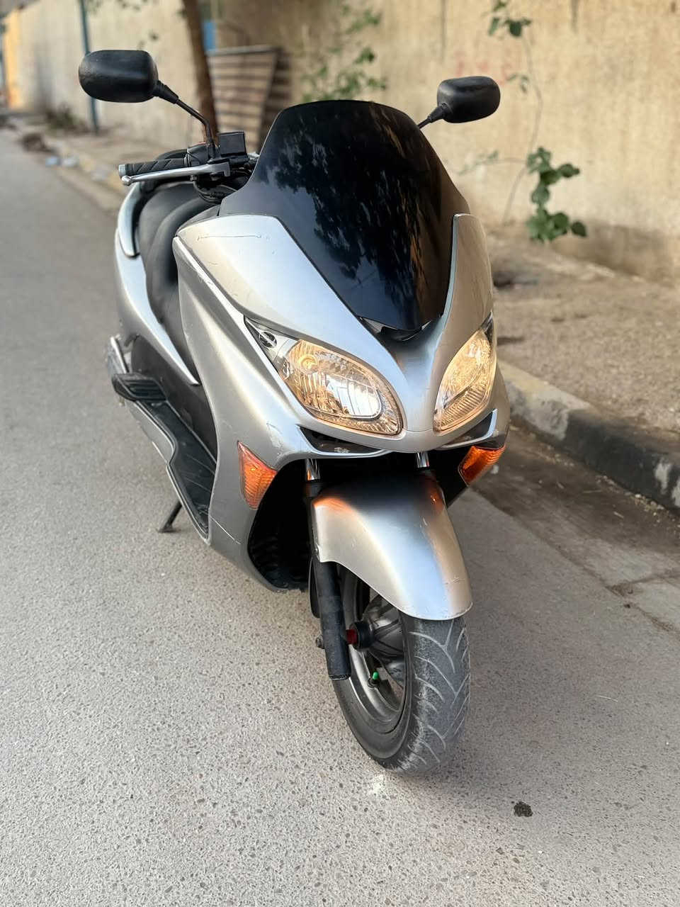 فورزة MF • ٠.٩ • أوراق