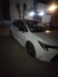 مكفول • ٢٠٢٤ • اربيل