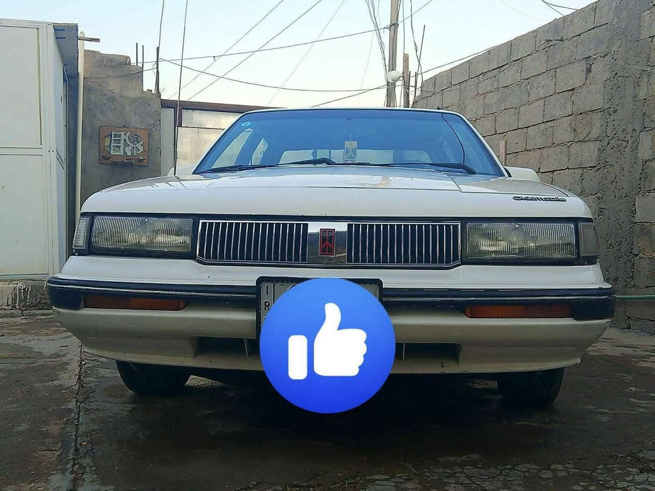 السلام عليكم
اولدز موديل ٩٠ للبيع بدون مراوس اكرر بدون مراوس تخم تاير جديد باتري جديد منظومة تبريد جديده تبريد ثلج ماشاء الله كهربائيات شغاله من الدعاميه للدعاميه داخلها نظيف جدا عظمتها حلوة كير جديد كل النمر تشتغل مكينتها تبخير قليل قليل كلش بأسمي السيارة سنويتها لل٢٩ سعرها 《52》 وبيها مجال قليل مكانها المسيب اولاد مسلم ع 
للأستفسار على الرقم 
***********
اخوان الرجاء اليحب يتصل مو عالماسنجر لأن الفيس قليل استخدمه والله يحفظ الجميع
@الجميع

