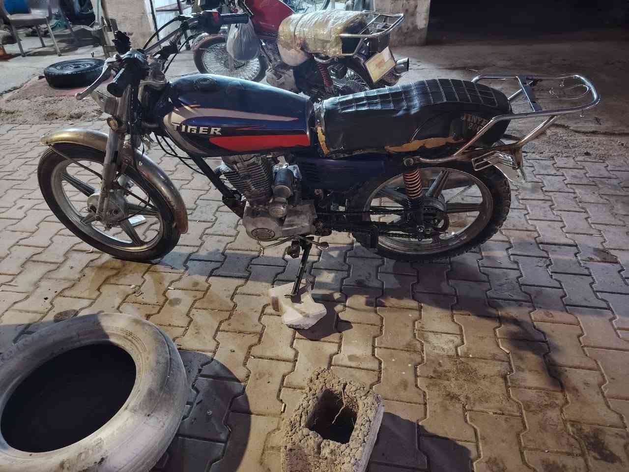 جني • ٢٠١٩ • محرك معمر