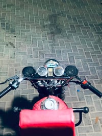 ستوته • فحل • ٢١