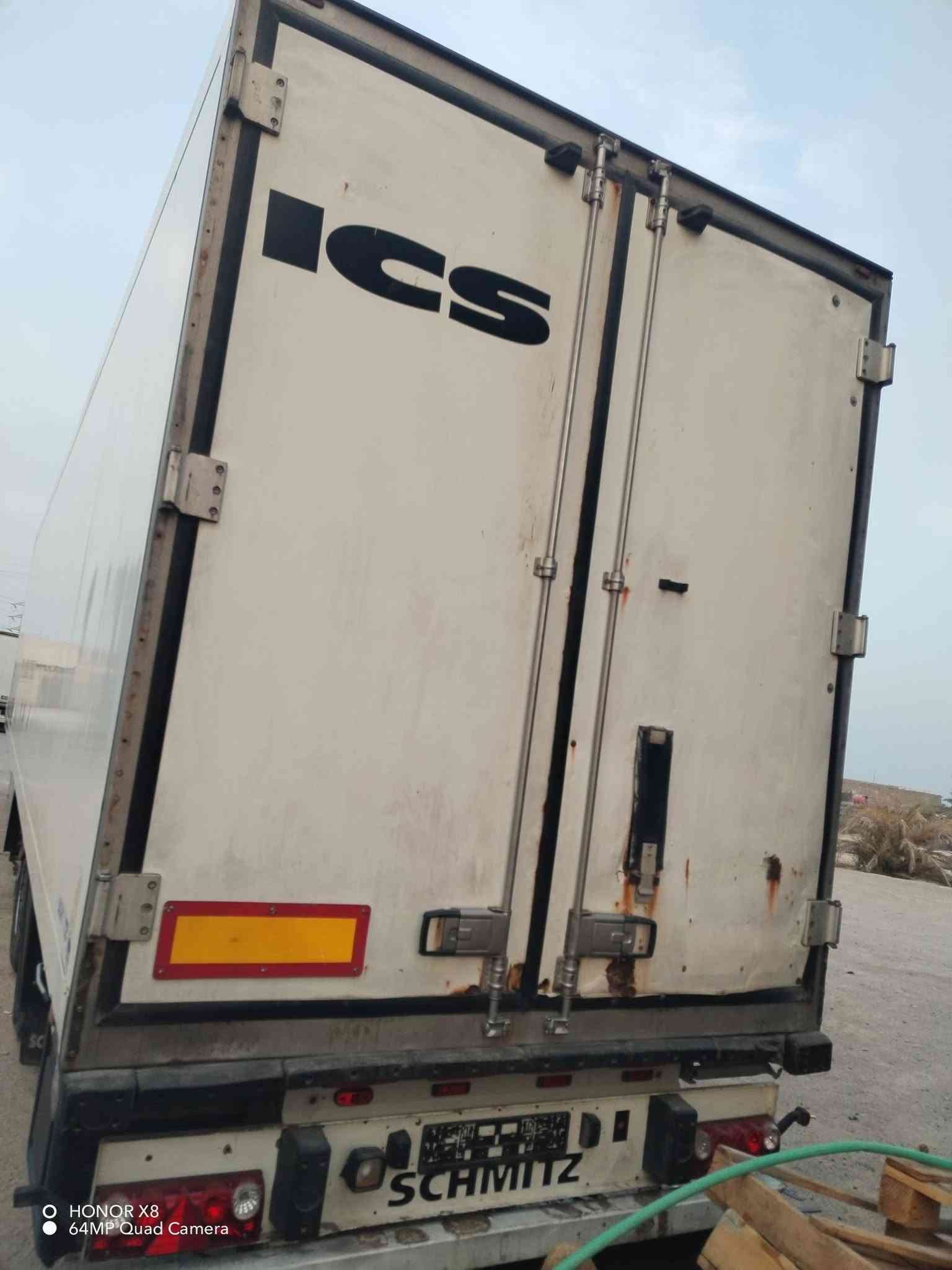براد منفيس • دخول جديد • سمك ٧