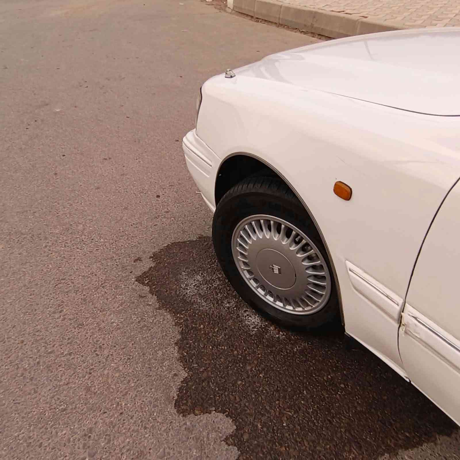 موديل ٢٠٠٠ • رقم بابل • شطرة
