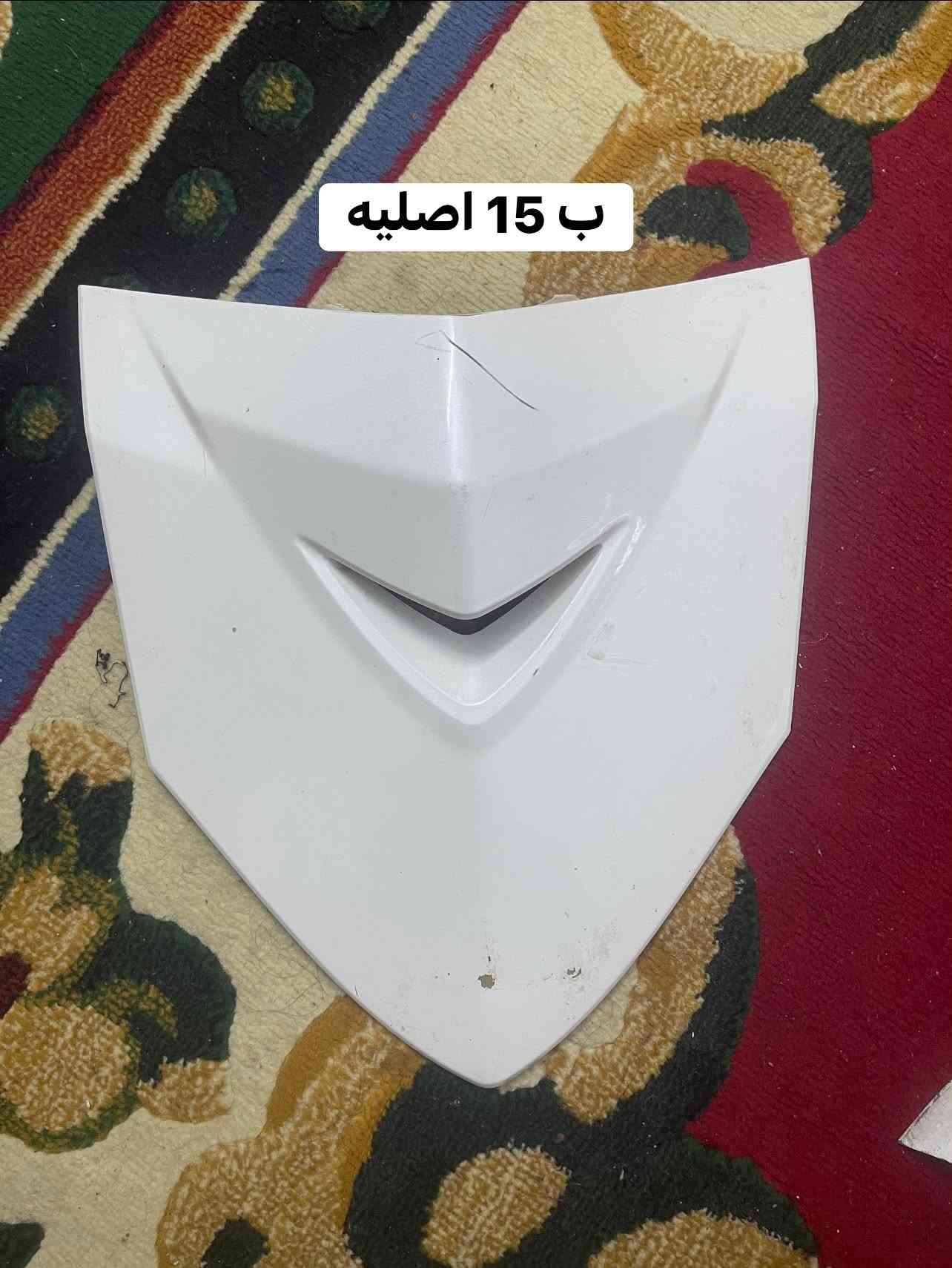 سكنس فحل • اصلي • المشتل