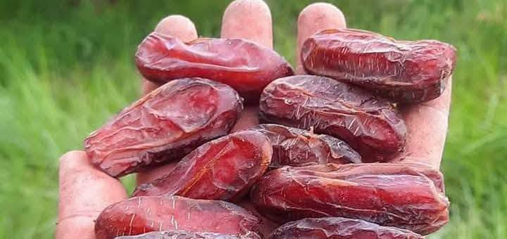 السلام عليكم يوجد لدينا جميع انواع بطينتهن بريم وتوصيل الكافت المحافظات ***********

نص مكتوب في الصور:
- بريم