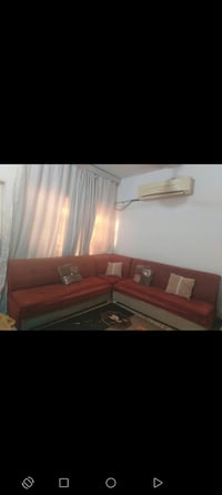 تخم قنفات السعر 40الف مكاني بغداد الامين الثانيه 07732741330