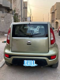 خضراء • ٢٠١٣ • كربلاء