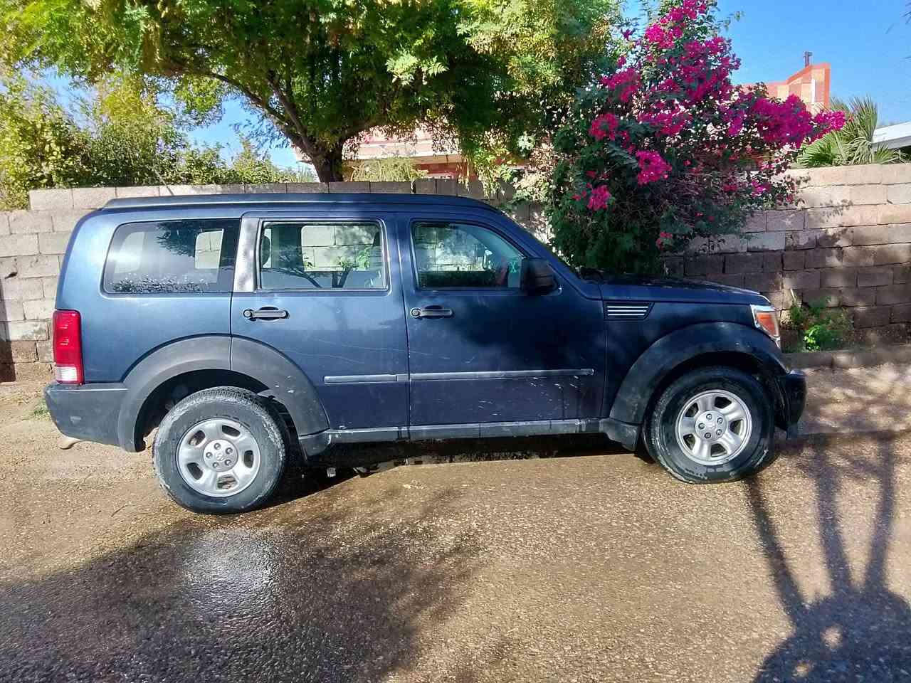 دوج نترو • ٢٠٠٨ • بدون صبغ