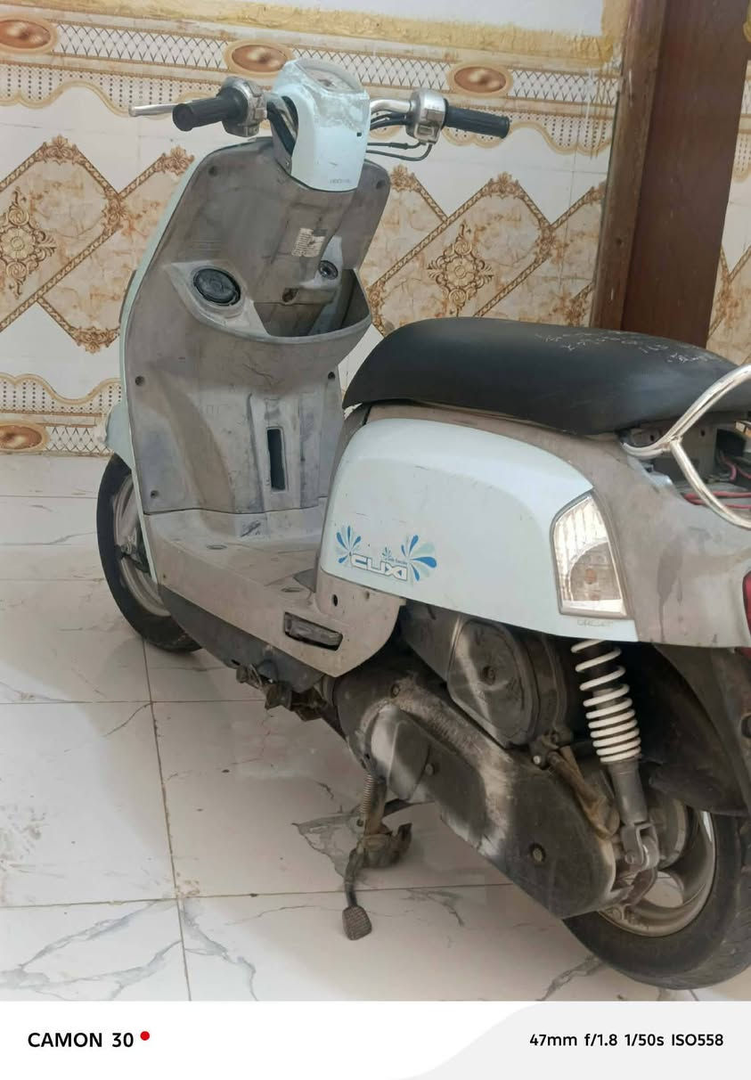 سلام عليكم ذبانه بوليسيهه جديد مكفوله سعره 700بيه مجال مكاني ميسان قضا ميمونه شراي ينتصل ***********
