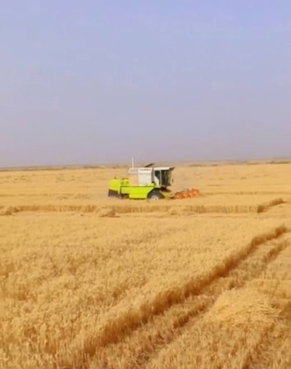 وين الرغابة وين الجناية اليوم جايبلكم قطعة من ذهب كلاص موديل 2006 هايدرو مواصفات نيوهولند محرك كتر بم ونوزل مو انجكتر يعني ما تحك راسك ولا دوخ مكينة نضيفه وما حاصدة شلب ولا متر حنطة فقط نضافة 100٪  مكفوله من كلشي... السعر وتفاصيل اكثر خاص او الاتصال على الرقم  ***********
