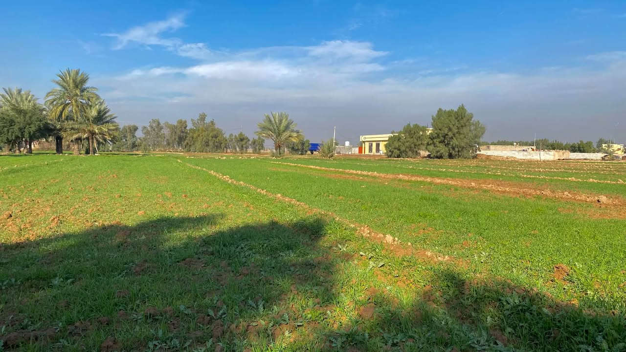 النهروان بغداد • أرض ١٠٠٠م • ماء كهرباء بوري