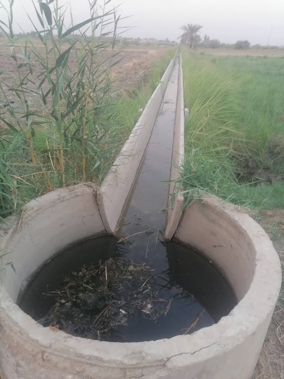٢ دونم • مويه وكهرباء • طابو