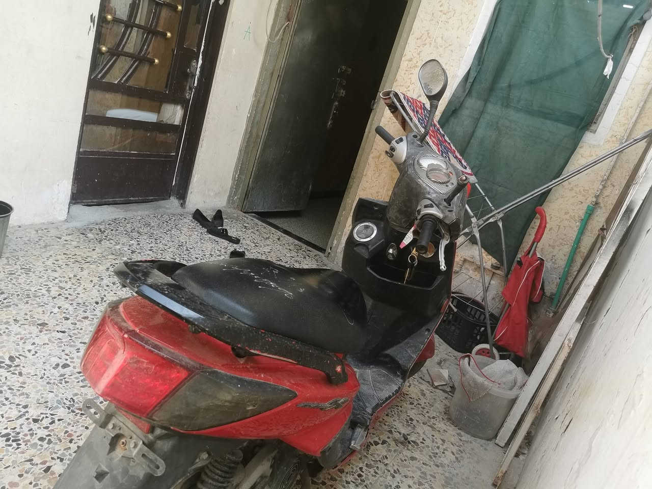 سكنس فحل • ١٤٠ • ٢٠١٦